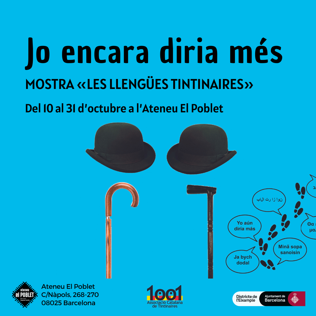 OK_expo llengues tintinaires_oct 23