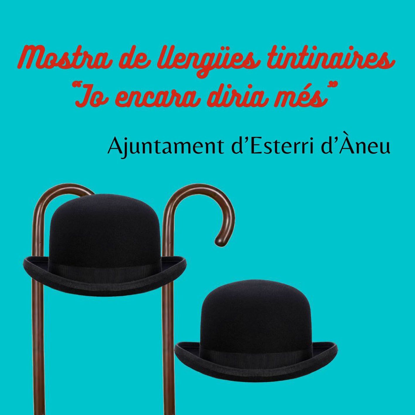 15 Març Tintin B